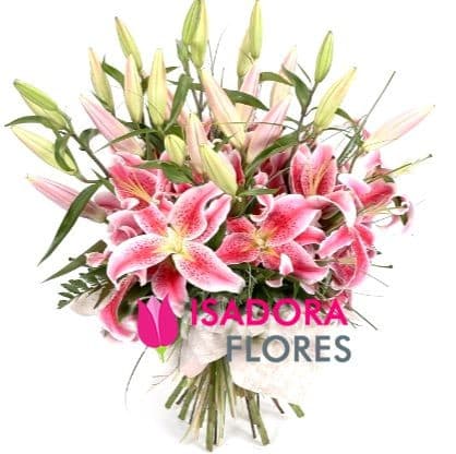 Adoráveis Lírios