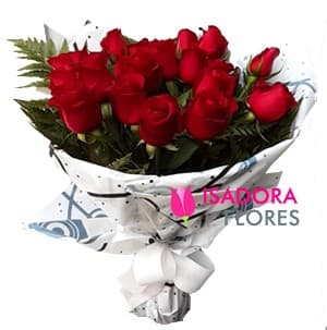 ♥Majestade ♥ com 20 Rosas ♥