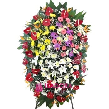 Coroa de Flores Alpha Curitiba