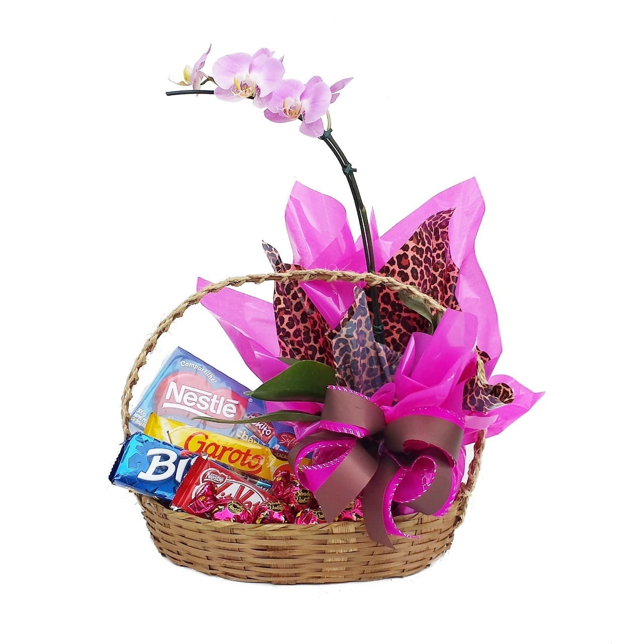 Doce Phalaenopsis na Cesta