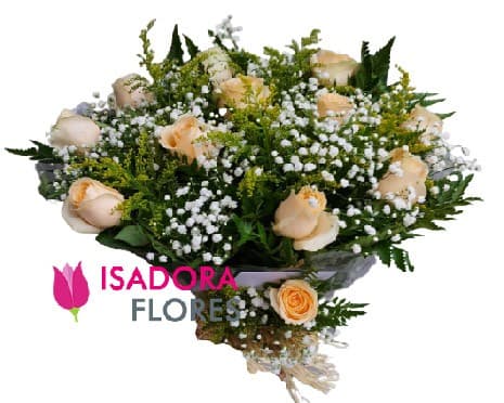 Rosas Champanhe