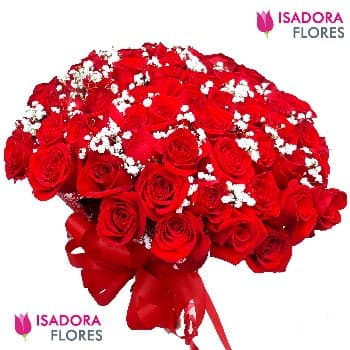 Rosas premium