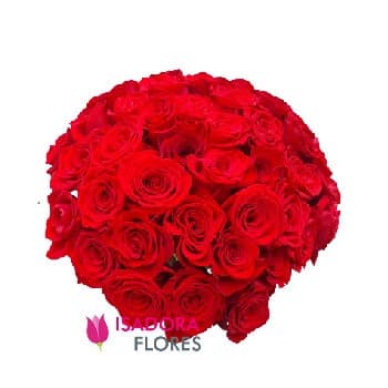 Rosas Premium