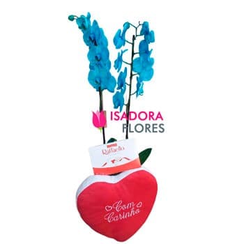 kit com Orquídea Azul