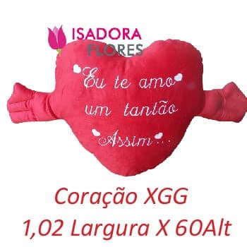 Coração XGG