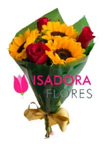 Girassol e rosas