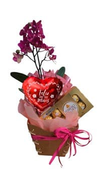 Orquídea+Ferrero