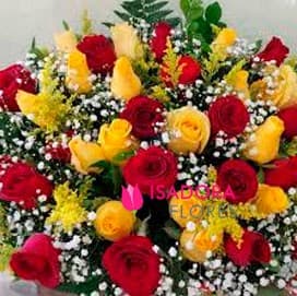 24 rosas