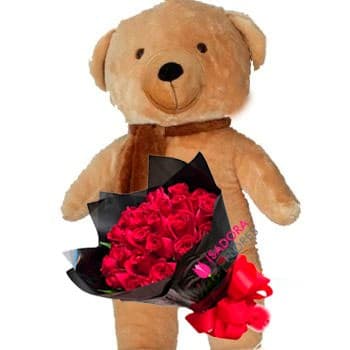 Rosas vermelhas + Ursão
