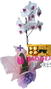 Orquídea com Ferrero