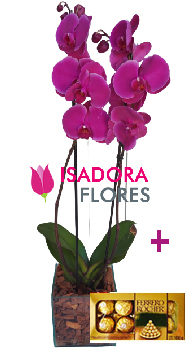 5915 Orquídea + Ferrero Rocher