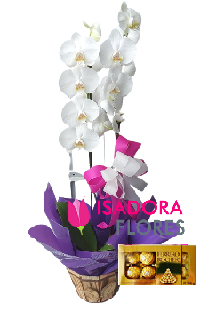 6034 Orquídea com Ferrero Rocher