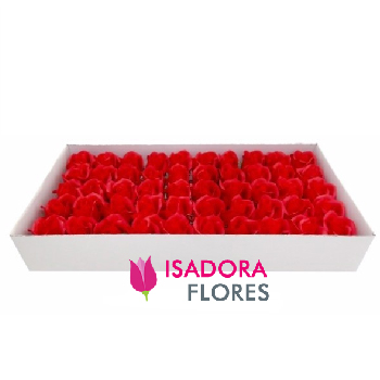 6730 Box com rosas vermelhas