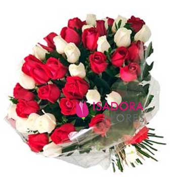 Mega Buquê 50 rosas