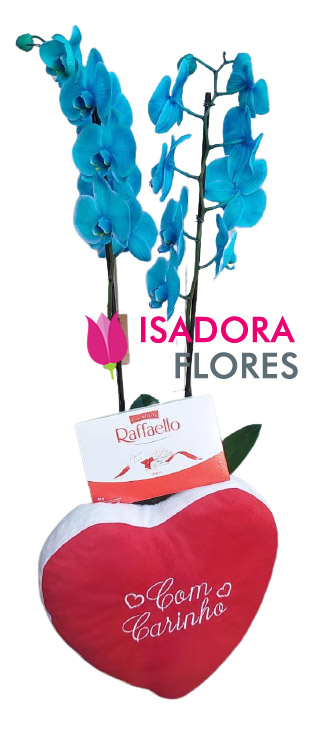kit com Orquídea Azul