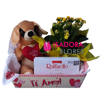Kit com Raffaello