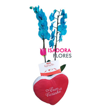 kit com Orquídea Azul
