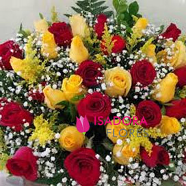 24 rosas