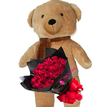 Rosas vermelhas + Ursão