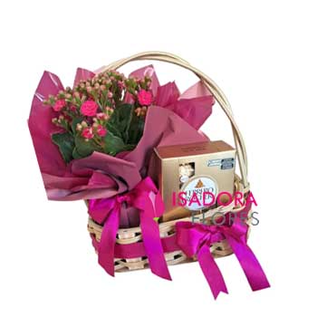 Cesta Doçura Floral