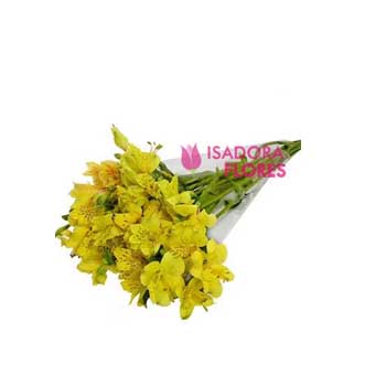 Buquê Astromélias Amarelas